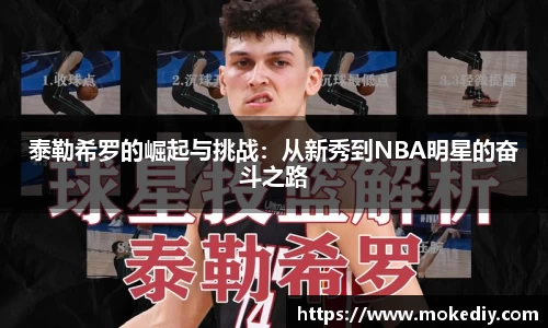 MILE米乐(集团) - MILE SPORTS